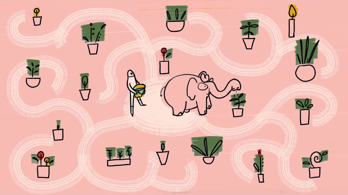 How my grandmother became an elephant